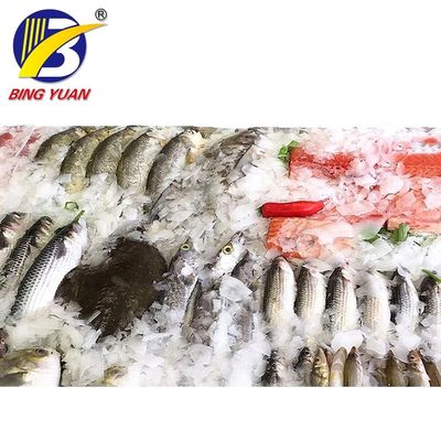 Maszyna do produkcji płatków lodu 220V