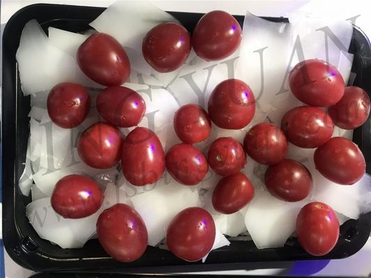 Cena hurtowa Przemysłowa maszyna do lodu płatkowego, 1 T / dzień Maszyna do lodu o małej pojemności